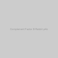 Image of Complement Factor B Rabbit pAb